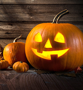 Banner Content Image: https://www.americatessen.com/images/banner/source/Seasonal_Colour.0TSO7F1Zv8.jpg?t=1647363289