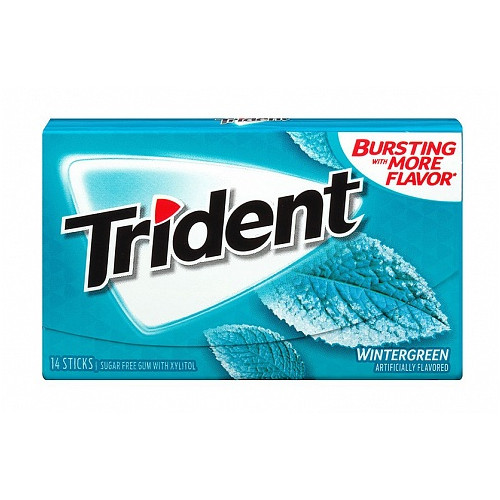 Trident Gum Wintergreen (12 x 31g)